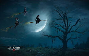 The Witcher 3 Wild Hunt Witches Wallpaper Wallpaper