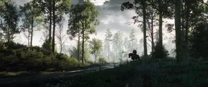 The Witcher Forest Video Game Wallpaper