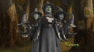 The Witches From Shrek Forever After Wallpaper