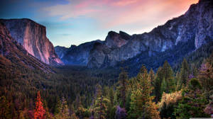 The Yosemite Mountain Valley Wallpaper