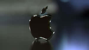 This Fresh Apple Will Taste The Best! Wallpaper