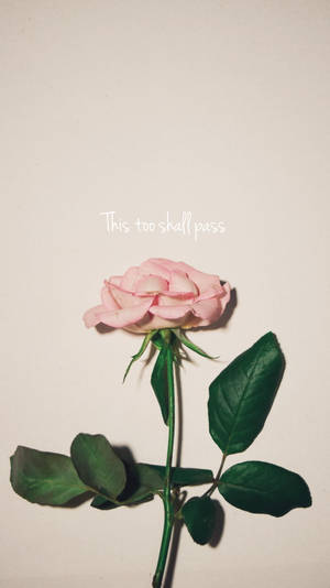 This Too Shall Pass Small Quotes Wallpaper