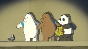 Three Bears Cartoon Network Characters Wallpaper