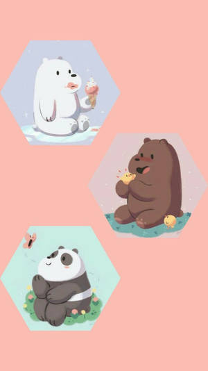 Three Bears Peach Poster Wallpaper