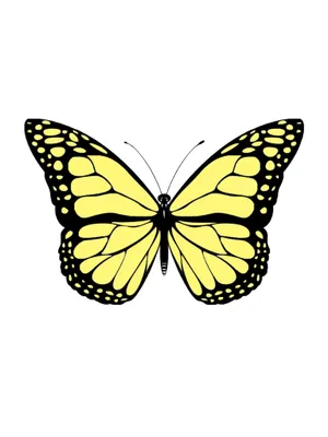 Three Cute Yellow Butterflies In Flight Wallpaper