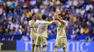 Three Soccer Players High Five Each Other During A Game Wallpaper