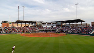 Thrilling Atmosphere At Awesome Softball Arena Wallpaper