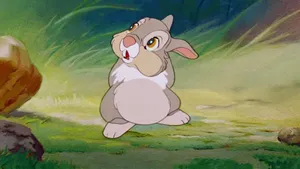 Thumper Bloated Tummy Wallpaper