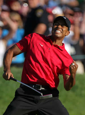 Tiger Woods Iphone Triumph Wallpaper