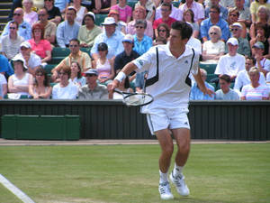 Tim Henman Receiving Position Wallpaper