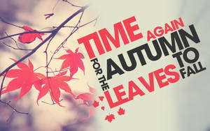 Time For Autumn Season Wallpaper