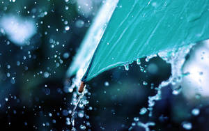 Tip Of Umbrella Most Beautiful Rain Wallpaper