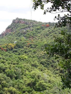 Tirupati Balaji Surrounding Nature Wallpaper