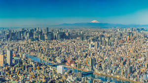 Tokyo City And Mount Fuji Wallpaper