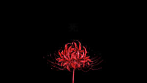Tokyo Ghoul Flower In The Dark Wallpaper