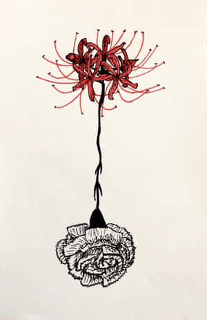 Tokyo Ghoul Flower Link To Rose Wallpaper