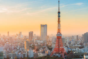 Tokyo Tower In Daytime Wallpaper