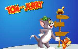 Tom And Jerry 4k Direction Signs Wallpaper