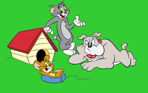 Tom And Jerry Cartoon With Spike Wallpaper