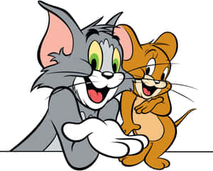 Tom And Jerry Fighting It Out On A Sunny Day Wallpaper