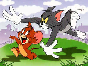 Tom And Jerry Get Into A Classic Slapstick Funny Fight. Wallpaper