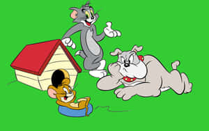 Tom And Jerry's Hilarious Cartoon Adventures Wallpaper