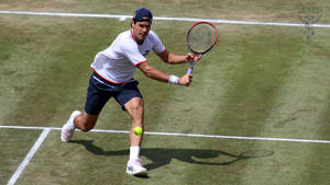 Tommy Haas Moving To Intercept Wallpaper