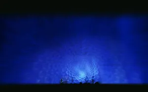 Tool Band In Blue Eyes Pattern Wallpaper