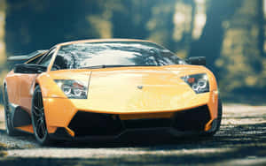 Top 10 Car 2010 Lamborghini Murcielago Wallpaper