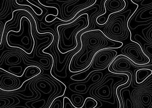 Topographic Map Showing Land Contours Wallpaper