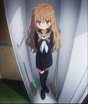 Toradora Taiga Aisaka In Closet Wallpaper