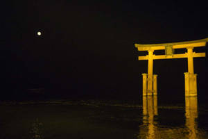 Torii Gate At Night Wallpaper