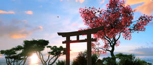 Torii Gate Cherry Blossoms Wallpaper