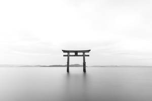 Torii Gate With White Background Wallpaper