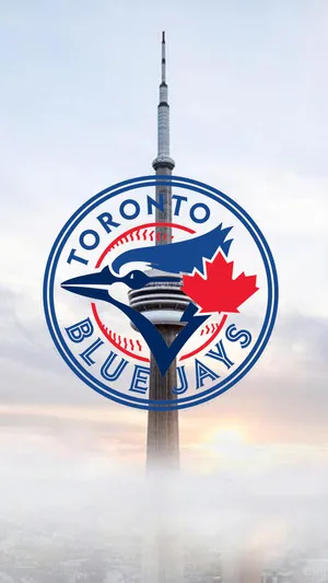 Blue store jays wallpaper