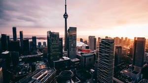 Toronto Buildings With Sunset View Wallpaper