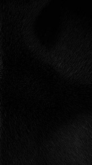 Total Black Fur Texture Phone Wallpaper