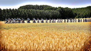 Tour De France Annual Bike Race Wallpaper