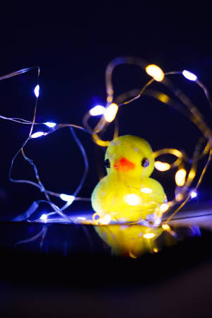 Toy Duck And String Lights Wallpaper