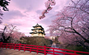 Traditional Japanese Desktop Wallpaper