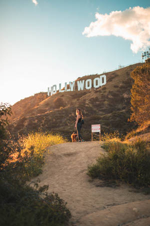Trail Hollywood Los Angeles Wallpaper