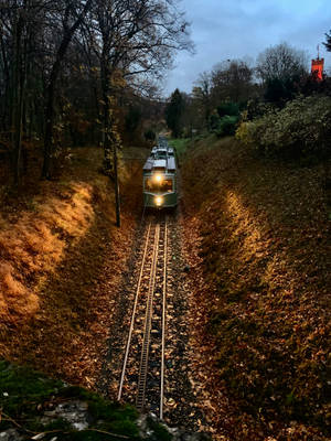 Train In Railway Image Wallpaper