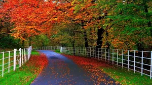 Tranquil Autumn Landscape On A Country Road Wallpaper
