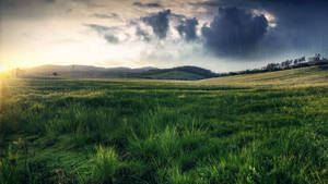 Tranquil Rainy Day In The City Wallpaper