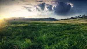 Tranquil Rainy Day In The City Wallpaper