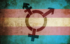 Trans Pride — Showing Solidarity And Celebrating Diversity Wallpaper