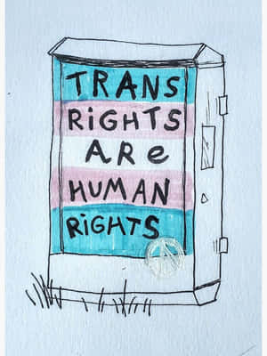 Trans Rights Are Human Rights Drawing Wallpaper