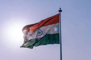 Translucent Indian Flag 4k Wallpaper