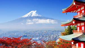 Travel 4k Japan Fuji Wallpaper