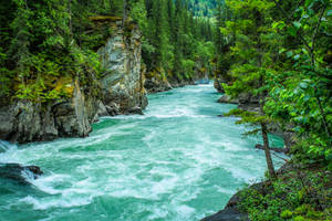 Tree-covered Riverside Cliffs Wallpaper